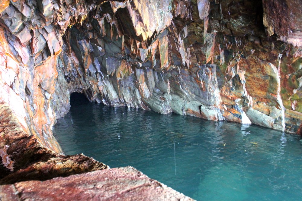 Scenic Ocean View at Peggy's Cove
